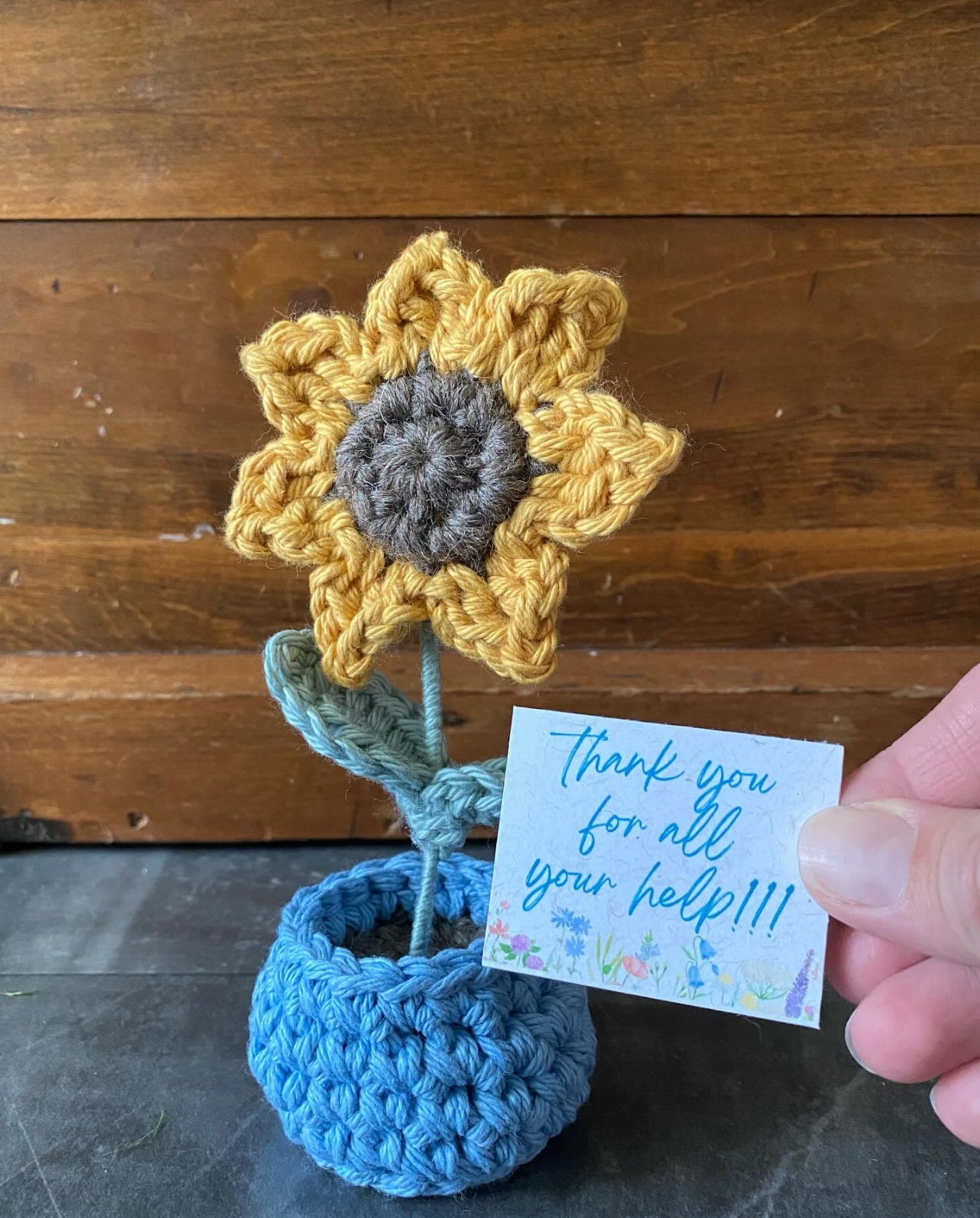 Crochet Flower Pot