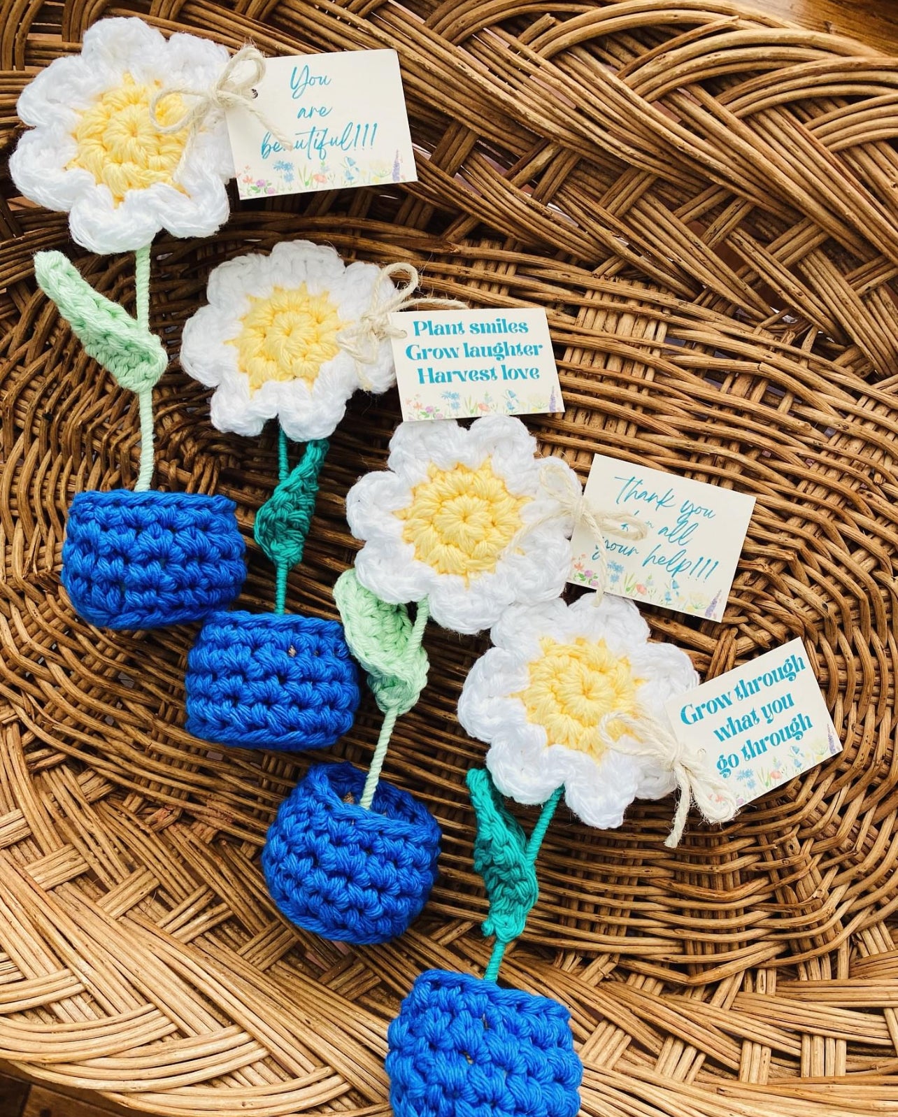 Crochet Flower Pot