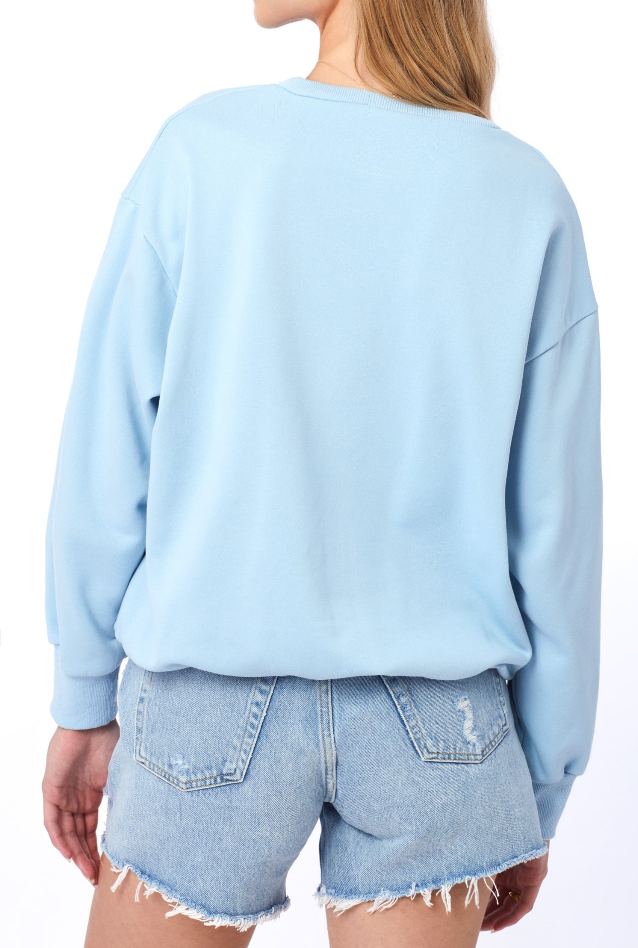 Be Nice Crewneck In Blue