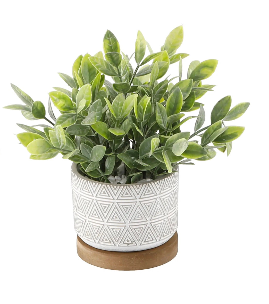 Eucalyptus & Tea Leaf Planters