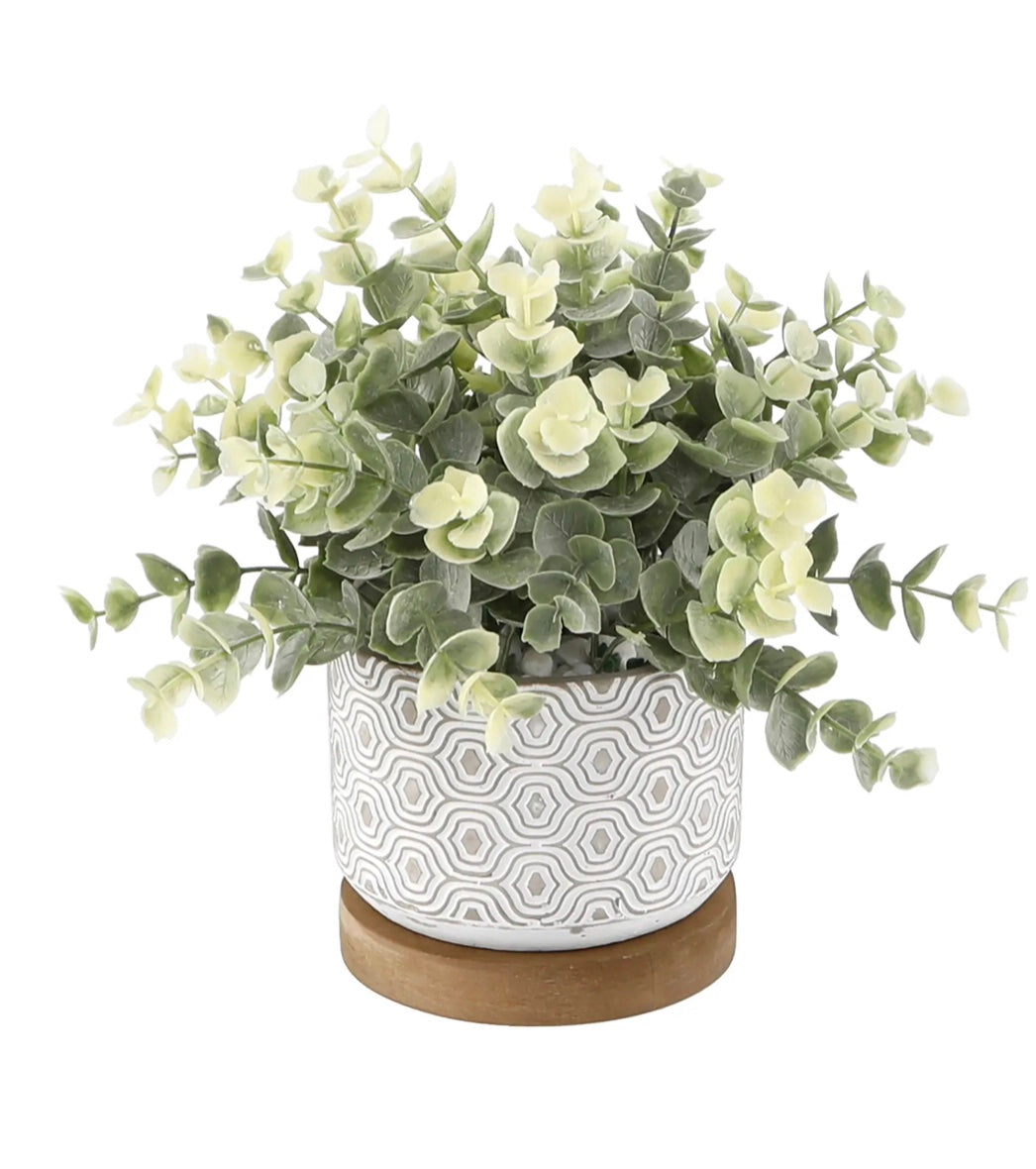 Eucalyptus & Tea Leaf Planters