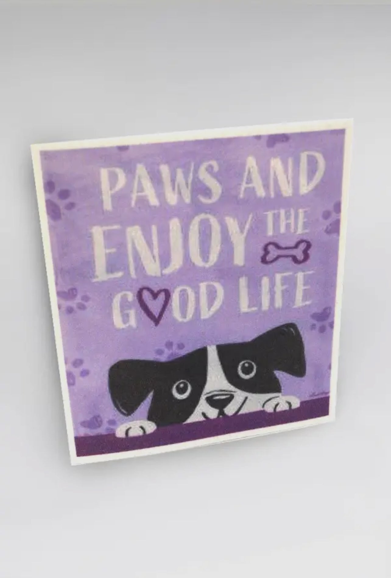 Pet Eco-Friendly Reusable Dishcloth