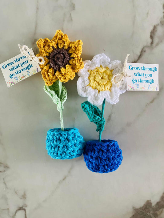 Crochet Flower Pot