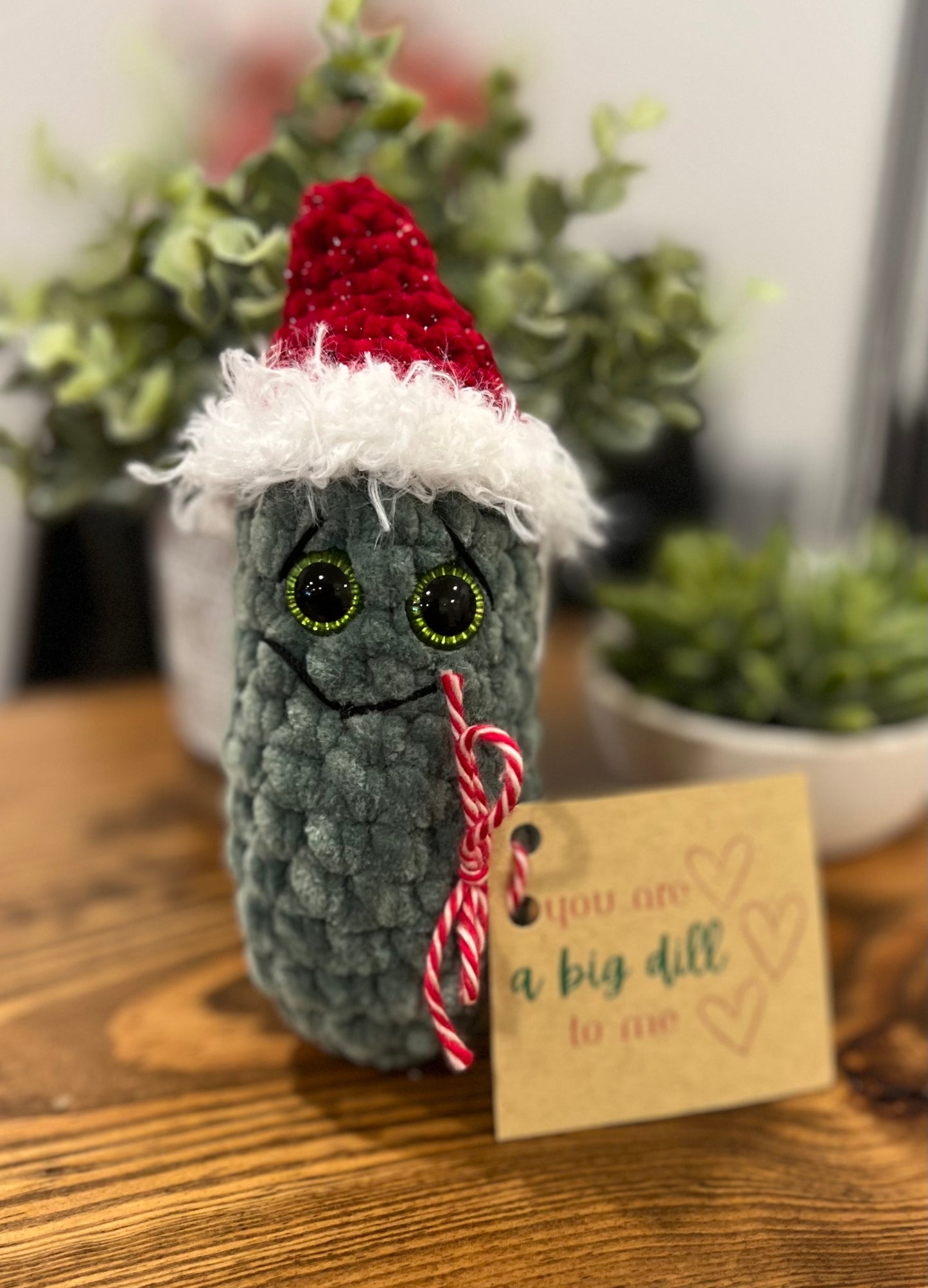 Santa Emotional Support Pickles