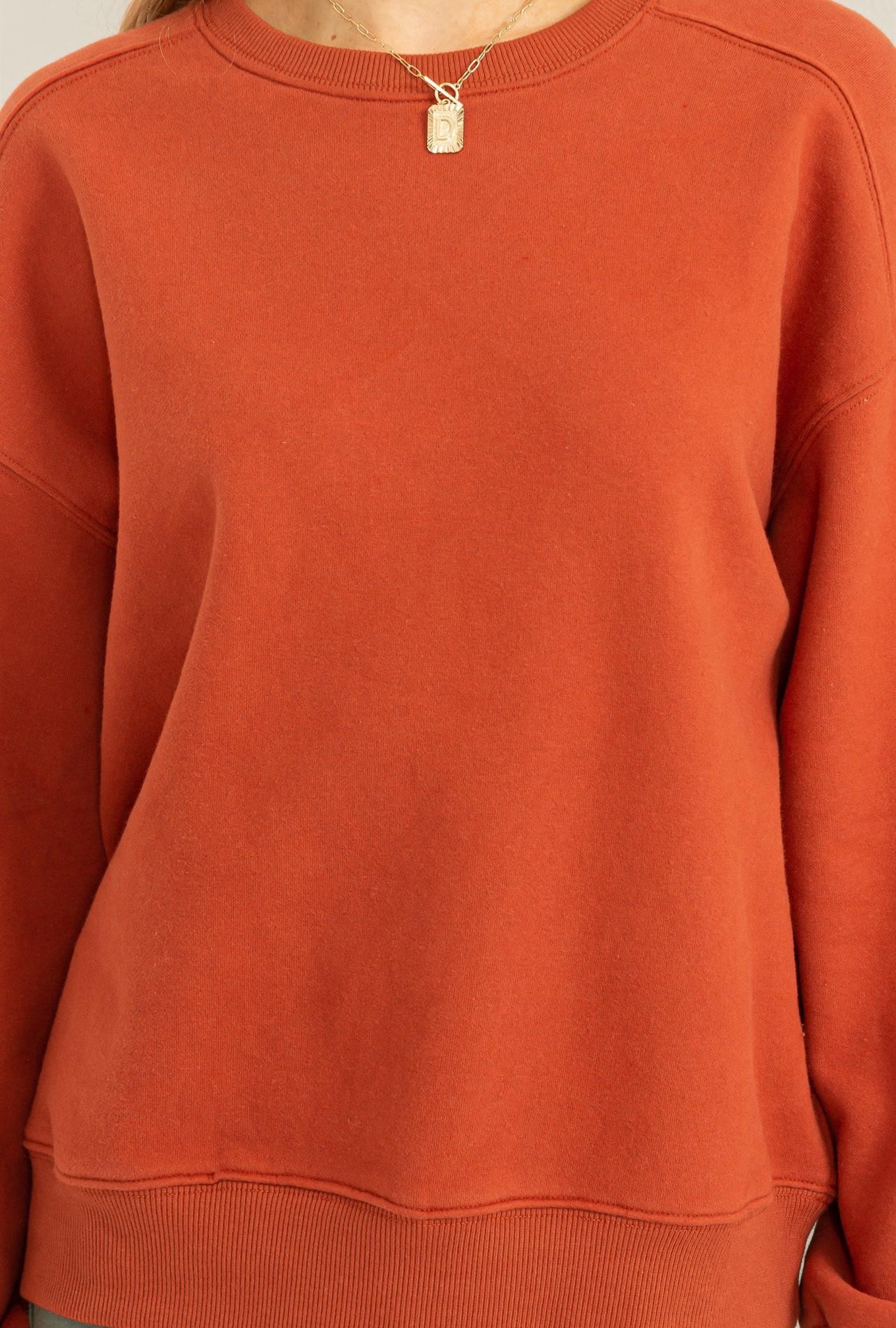 Just A Hint Crewneck In Baked Clay