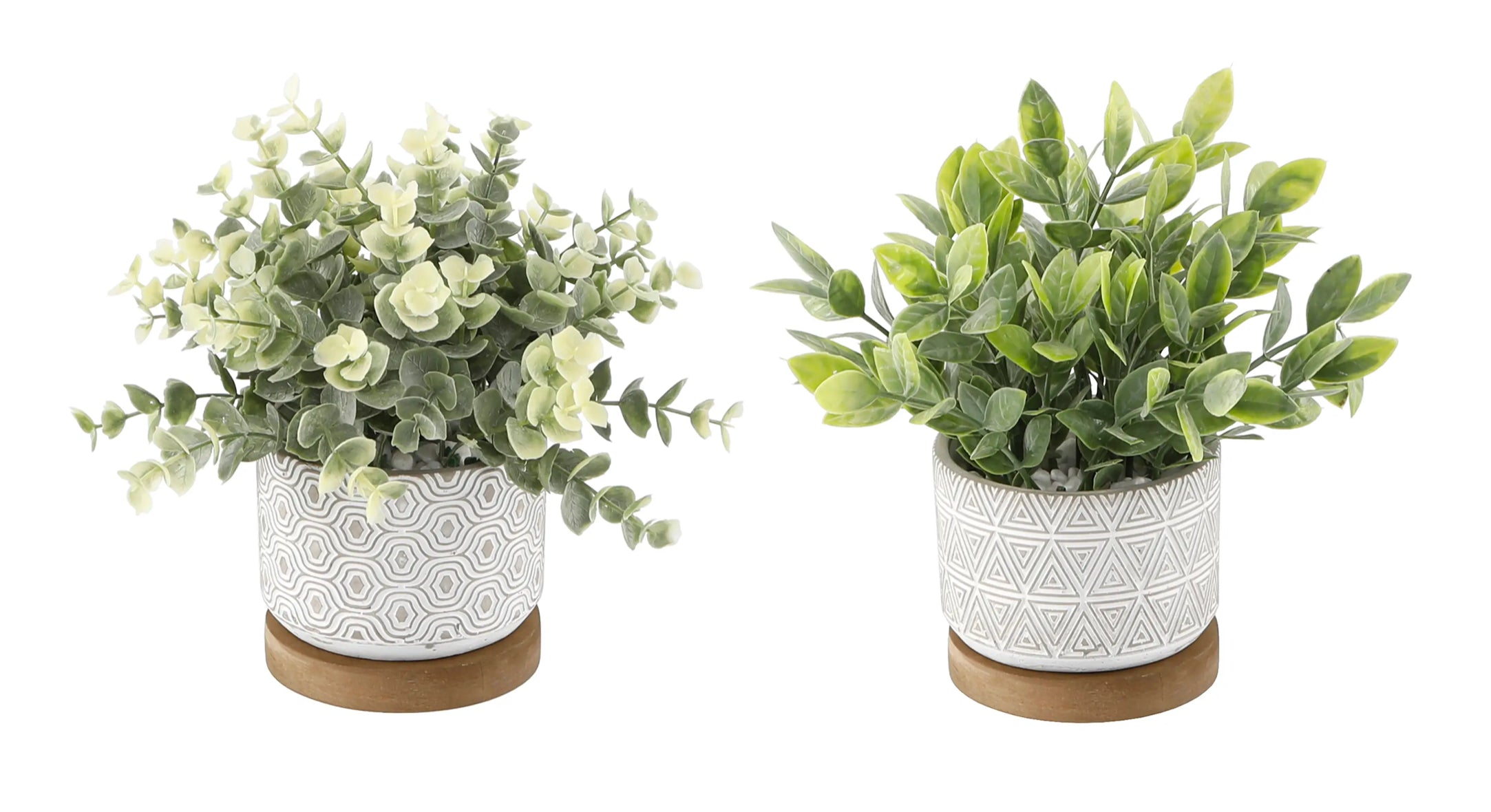 Eucalyptus & Tea Leaf Planters