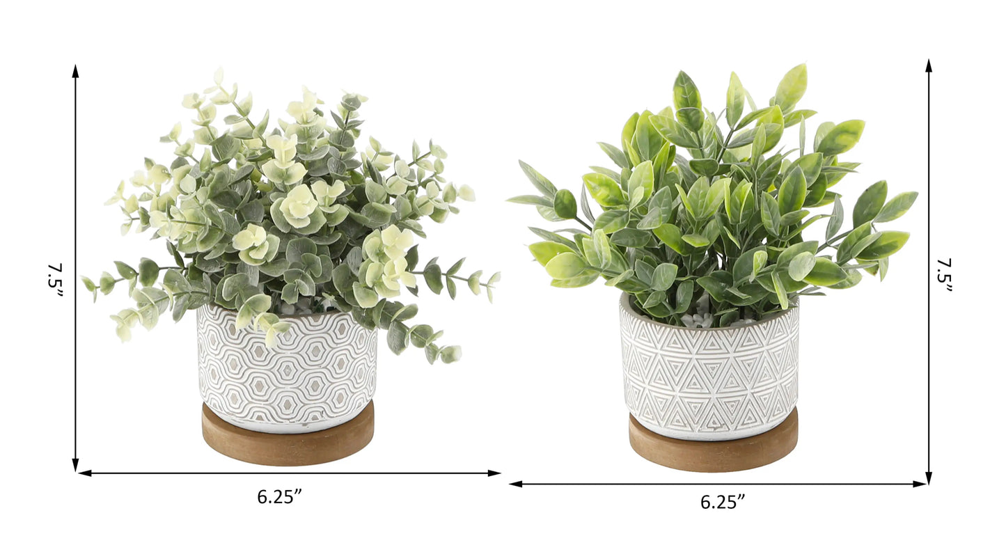 Eucalyptus & Tea Leaf Planters